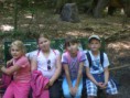 /album/zoo-dinopark/cimg4146-jpg/
